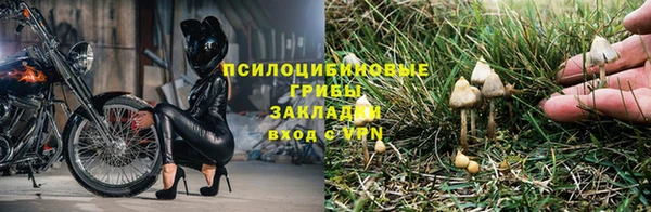 кокаин премиум Нязепетровск