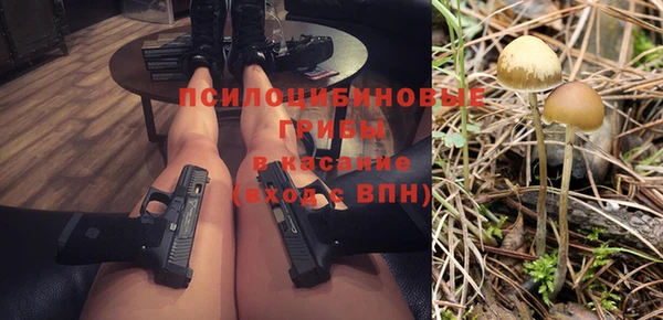 PSILOCYBIN Беслан