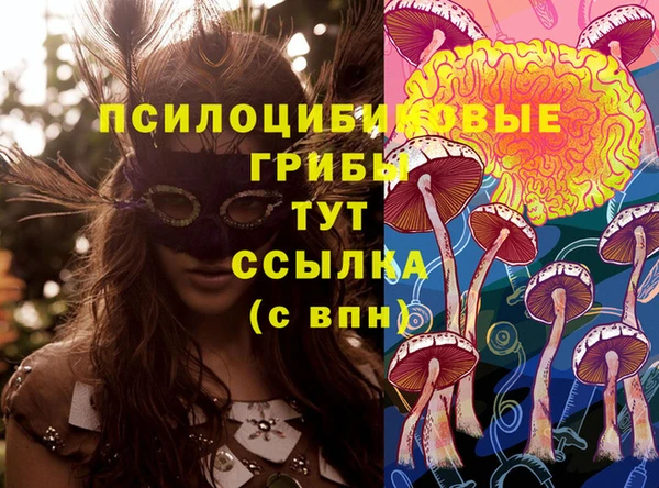 кокаин премиум Нязепетровск