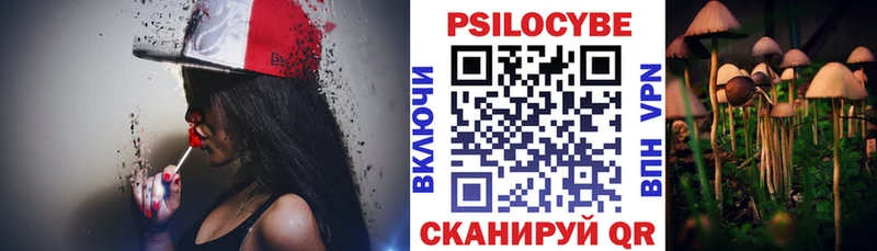 Галлюциногенные грибы Psilocybine cubensis блэк спрут как войти Краснозаводск