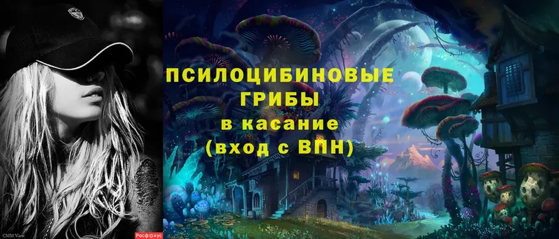 Галлюциногенные грибы Cubensis  Краснозаводск 